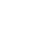 Bold discount tag icon