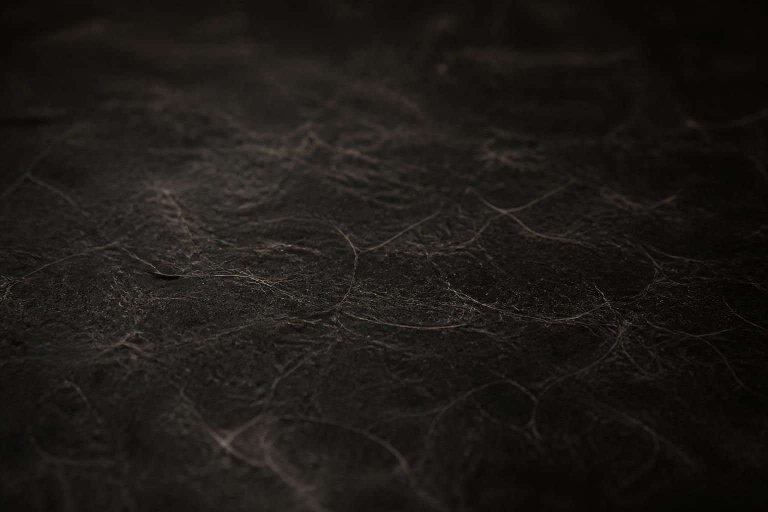A dark, moody close-up of textured pet-fur fibers on a shadowy floor, with subtle scattered dust and faint warm highlights,…