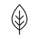 Simple leaf icon with clean lines on white background